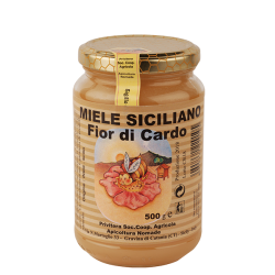 Miele di Cardo (Compositae)